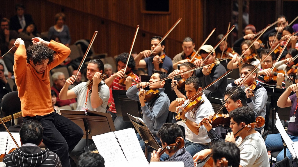 A symphony violin section